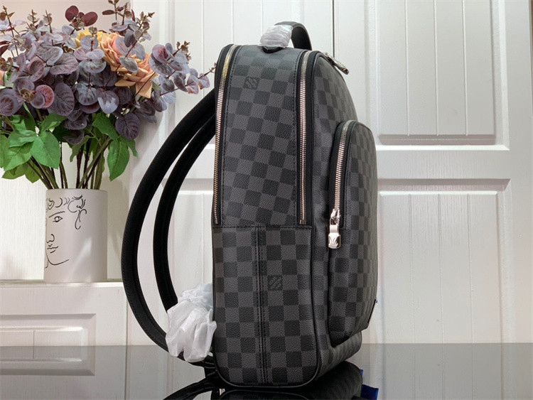 L*uis V*itton Backpack