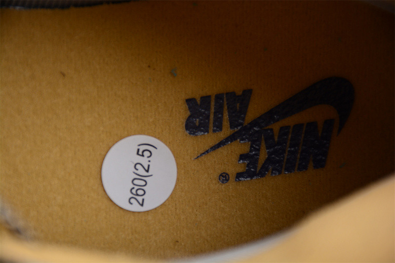 Air Jordan 1 Element Gore-Tex Sky J Purple DB2889-501