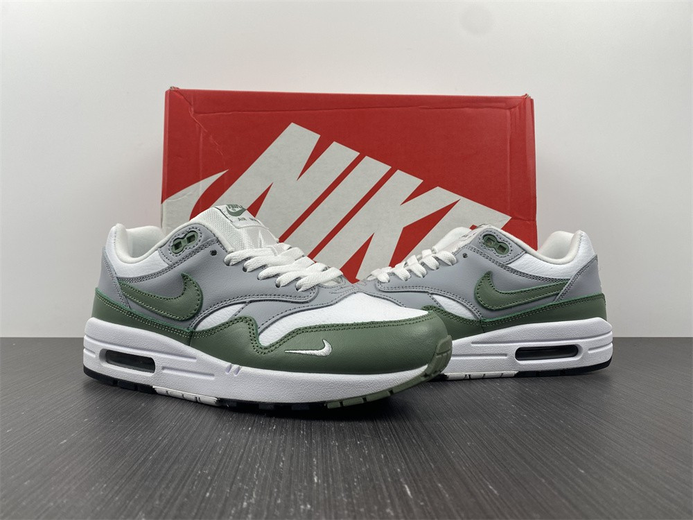 NIKE AIR MAX 1 SPIRAL SAGE DB5074-100